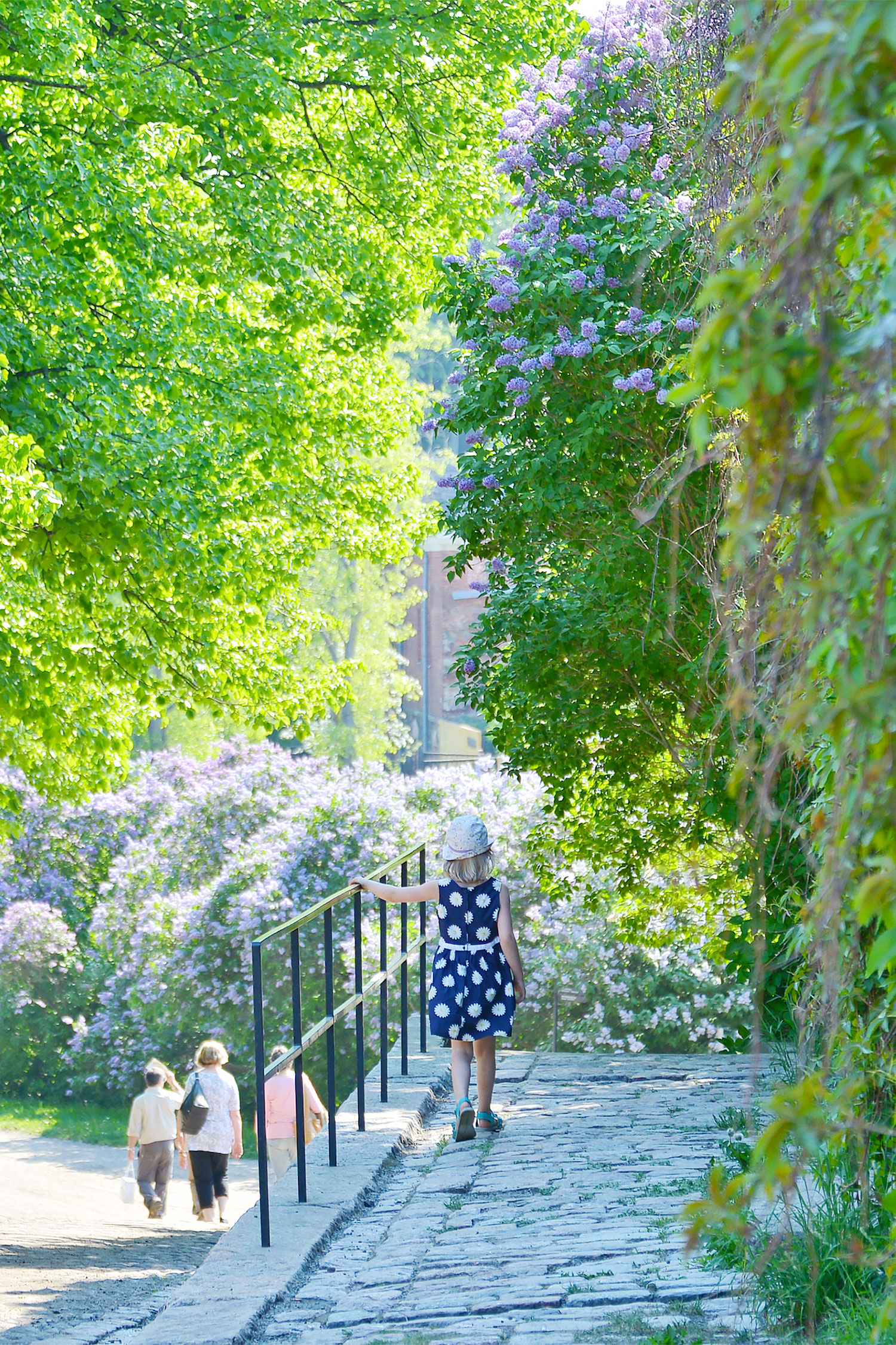 توییتر 北欧フィーカ در توییتر フィンランドの世界遺産 スオメンリンナ島 夏のピクニックの写真 Iphoneの壁紙にしています よかったら 壁紙にどうぞ 北欧フィーカ フィンランド ヘルシンキ スオメンリンナ島 北欧壁紙 T Co 8tzmao2jdx