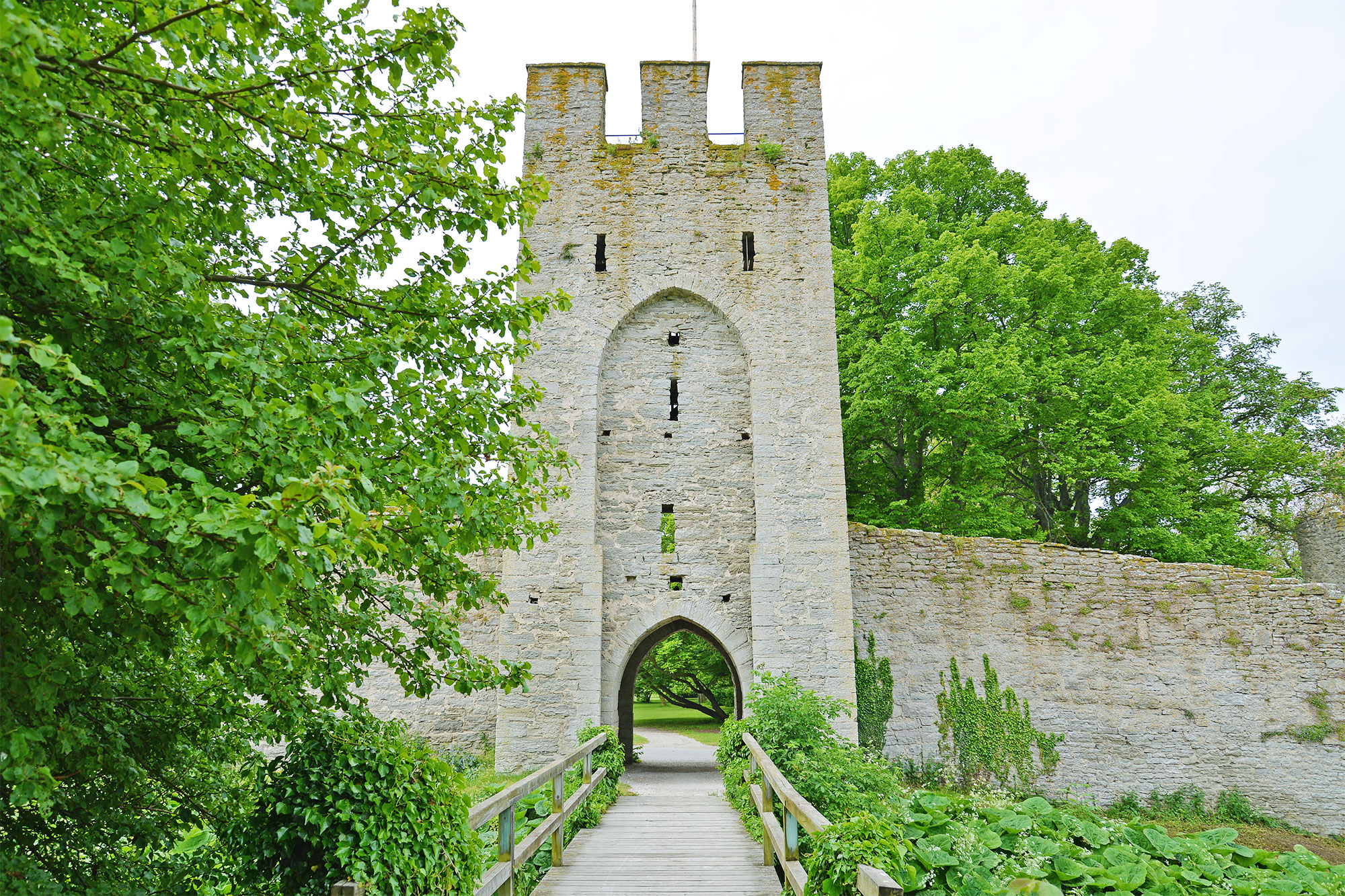 ウィペット　置物　Christina Cummings  イギリス製 ウィペット 置物 Christina Cummings イギリス製 【公式通販】